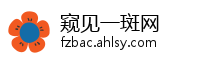窥见一斑网